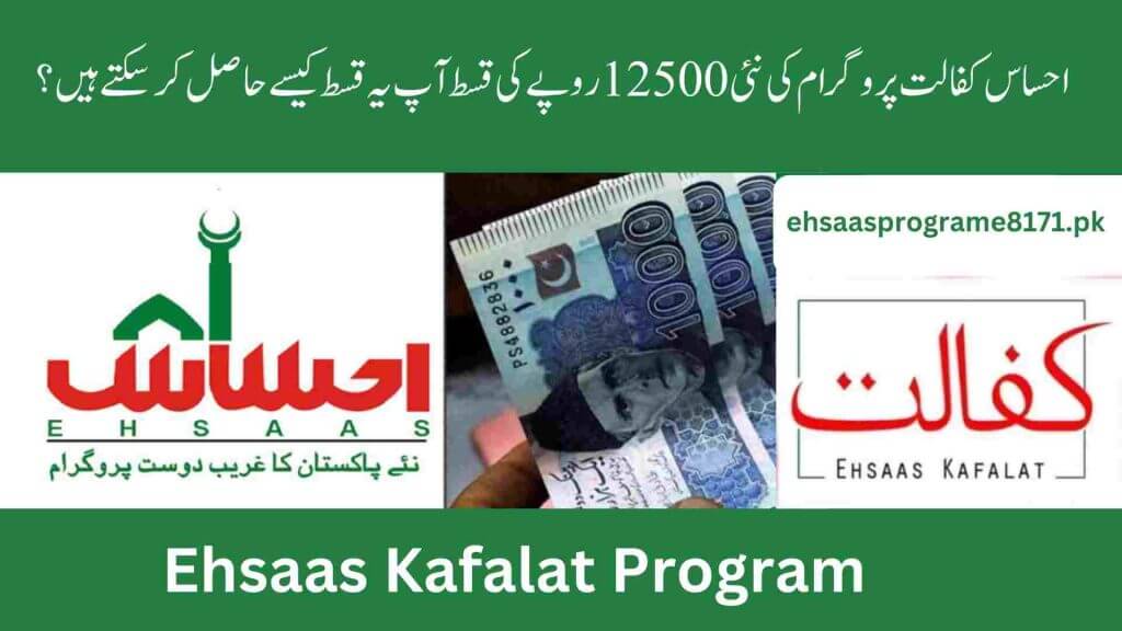 Ehsaas Program Online Registration: A Step-by-Step Guide to Secure Financial Assistance**